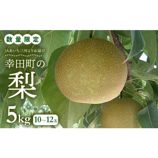 ふるさと納税 梨 愛知県 幸田町 先行予約 [数量限定] 幸田町産「梨」5kg(10〜12玉)箱入り なし 果物 フルーツ お取り寄せ 2026年8月中旬〜9月下旬頃に順…