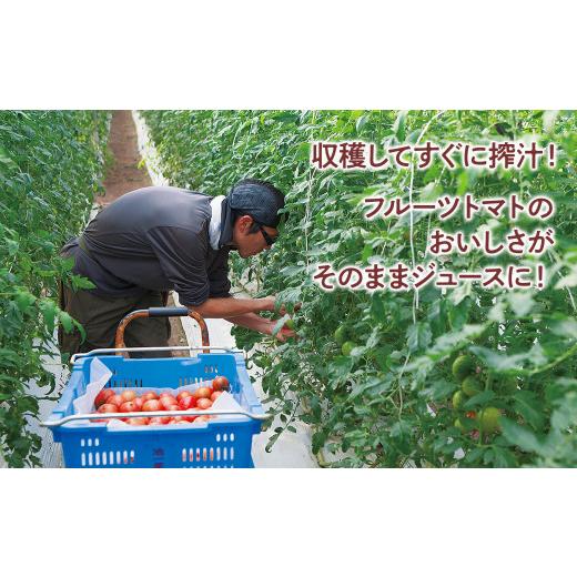 ふるさと納税 果汁飲料 トマト 高知県 土佐市 トマトジュース 無塩 無添加 （ホワイト100ml）30本セット 100ml × 30本入 1本に約5個分のフルーツトマト トマ…の画像