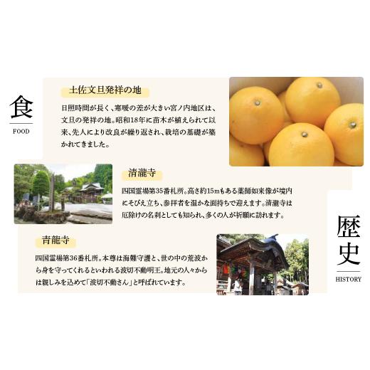 ふるさと納税 果汁飲料 トマト 高知県 土佐市 トマトジュース 無塩 無添加 （ホワイト100ml）30本セット 100ml × 30本入 1本に約5個分のフルーツトマト トマ…の画像