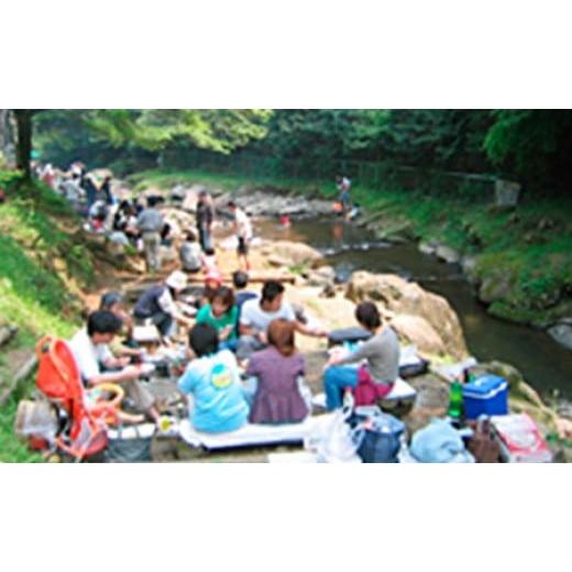 ふるさと納税 体験チケット 神奈川県 伊勢原市 自然を満喫 渓流釣りと手ぶらでBBQセット 0480_1