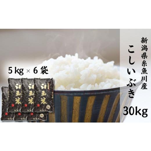 ふるさと納税 米 新潟県 糸魚川市 令和7年産新米 新潟県産こしいぶき『臼玉米』30kg 2025年産 木島米穀店 新潟県 糸魚川市 米 お米 白米 こめ コメ コシイブ…