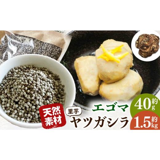 ふるさと納税 野菜類 サツマイモ 長野県 天龍村 伝統のいも 先行受付 令和8年11月中旬頃順次発送 天龍村 坂部地区の八つ頭とエゴマのセット | 里芋 さといも …