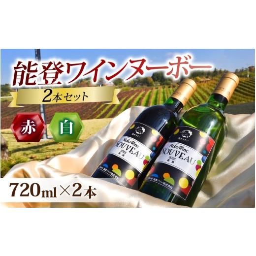 ふるさと納税 ワイン セット 石川県 穴水町 先行予約 能登ワインヌーボー2本セット 2026年11月中旬以降順次発送 / わいん ワイン 赤 白 能登ワイン 奥能登 …