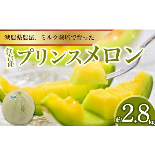 ふるさと納税 メロン メロン青肉 鳥取県 倉吉市 プリンスメロン 倉吉産 約2.8kg (2026) 鳥取 果物 フルーツ メロン プリンスメロン 数量限定 期間限定 鳥取…