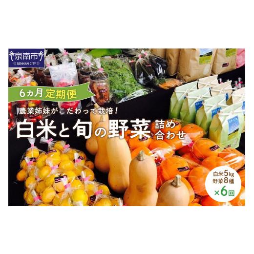 ふるさと納税 米 ヒノヒカリ 大阪府 泉南市 農業姉妹がこだわって栽培 白米5kgと旬の野菜詰め合わせ8種 半年定期便 024A-028