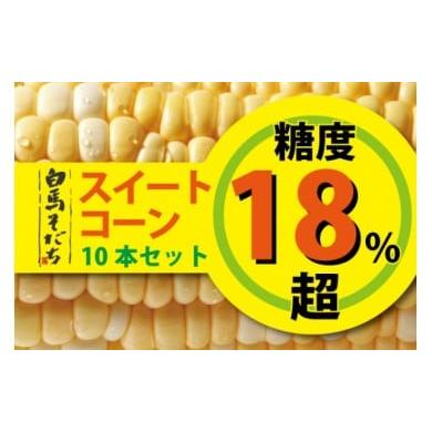 ふるさと納税 とうもろこし 長野県 白馬村 2026年8月発送分先行予約 白馬そだち 糖度18%超 スイートコーン10本 /長野県白馬村 甘い 産地直送 新鮮 とう…