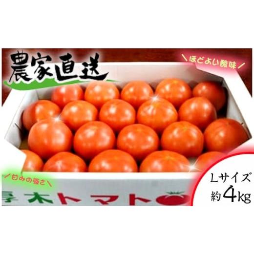 ふるさと納税 野菜類 トマト 神奈川県 厚木市 農家直送 トマト Lサイズ 約4kg / とまと 農園 かながわブランド 神奈川県 No.157