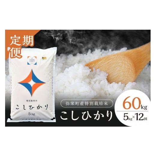 ふるさと納税 米 コシヒカリ 島根県 浜田市 定期便 令和7年産 弥栄町産特別栽培米「秘境奥島根弥栄」こしひかり5kg(12回コース) 定期便 12回 お米 こしひか…