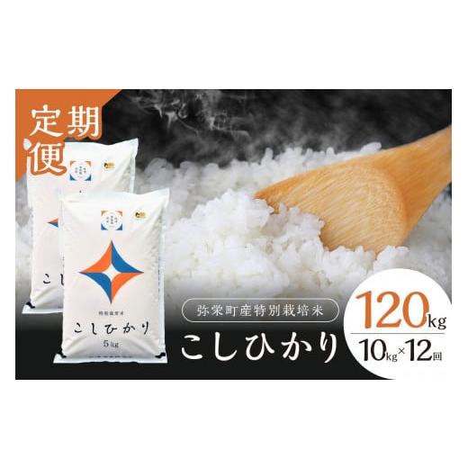ふるさと納税 米 コシヒカリ 島根県 浜田市 定期便 令和7年産 弥栄町産特別栽培米「秘境奥島根弥栄」 こしひかり10kg(12回コース) 米 お米 こしひかり 特別…