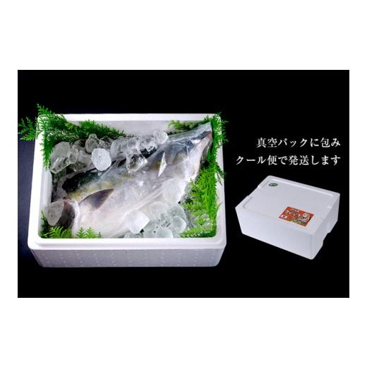 ふるさと納税 徳島県 鳴門市 【予約受付・11月中旬頃より発送】すだち鰤 半身 