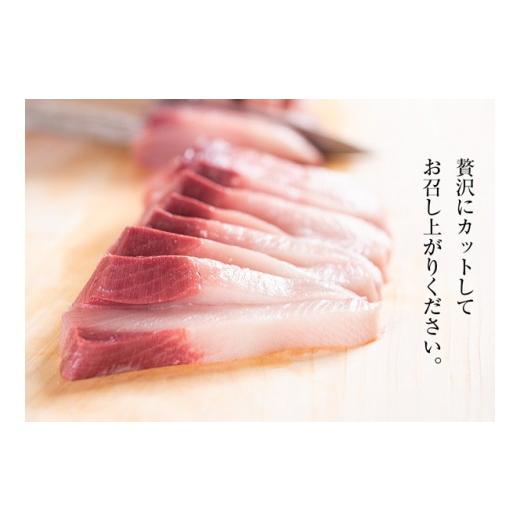 ふるさと納税 徳島県 鳴門市 【予約受付・11月中旬頃より発送】すだち鰤 半身 