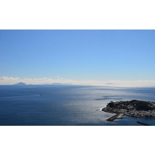 【公式】 ふるさと納税 静岡県 東伊豆町 迷ったらコレ！　ひがしいず　満喫　宿泊　補助券　（4万5千円分）F001／静岡県　東伊豆町 【1661060465】(58500円)