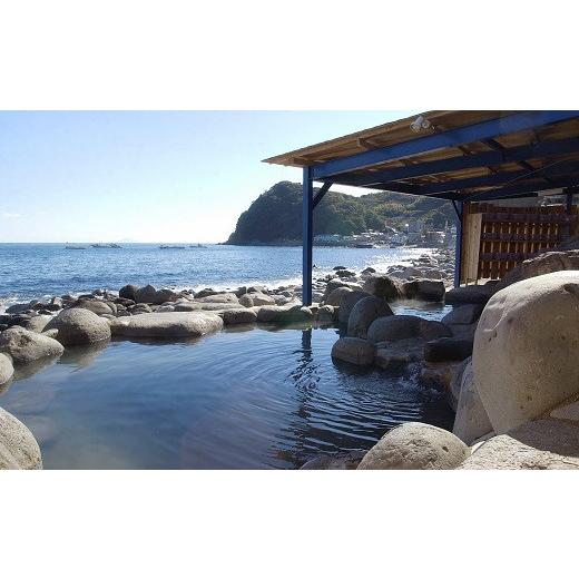 【公式】 ふるさと納税 静岡県 東伊豆町 迷ったらコレ！　ひがしいず　満喫　宿泊　補助券　（4万5千円分）F001／静岡県　東伊豆町 【1661060465】(58500円)