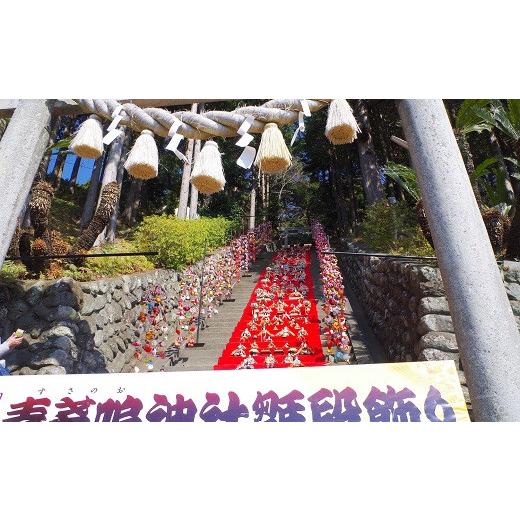 【公式】 ふるさと納税 静岡県 東伊豆町 迷ったらコレ！　ひがしいず　満喫　宿泊　補助券　（4万5千円分）F001／静岡県　東伊豆町 【1661060465】(58500円)