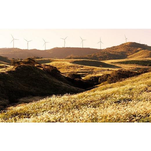 【公式】 ふるさと納税 静岡県 東伊豆町 迷ったらコレ！　ひがしいず　満喫　宿泊　補助券　（4万5千円分）F001／静岡県　東伊豆町 【1661060465】(58500円)