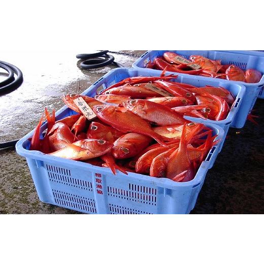 【公式】 ふるさと納税 静岡県 東伊豆町 迷ったらコレ！　ひがしいず　満喫　宿泊　補助券　（4万5千円分）F001／静岡県　東伊豆町 【1661060465】(58500円)