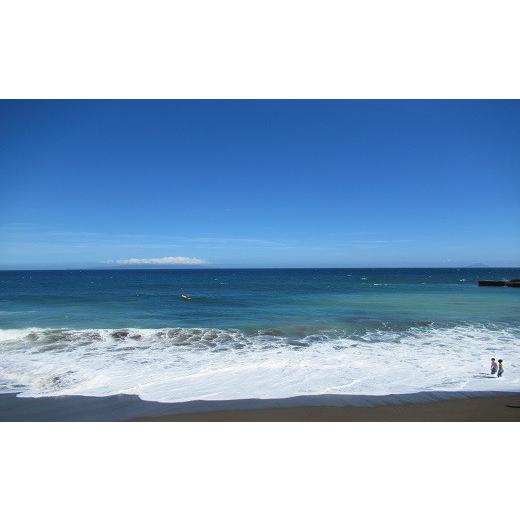 【公式】 ふるさと納税 静岡県 東伊豆町 迷ったらコレ！　ひがしいず　満喫　宿泊　補助券　（4万5千円分）F001／静岡県　東伊豆町 【1661060465】(58500円)