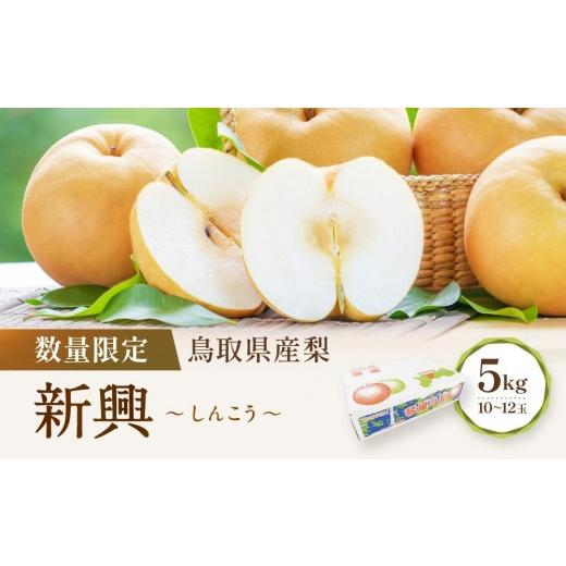 ふるさと納税 梨 鳥取県 琴浦町 先行予約 数量限定 鳥取県産梨 新興(しんこう) 5kg(10〜12玉) 国産 新興梨 梨 国産梨 国産新興梨 鳥取県産梨 鳥取県産新…