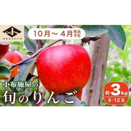 ふるさと納税 りんご 長野県 小布施町 長野県産 季節の旬のりんご 約3kg 6〜12玉[小布施屋] りんご 林檎 リンゴ 果物 フルーツ 令和8年産 2026年10月〜2027…