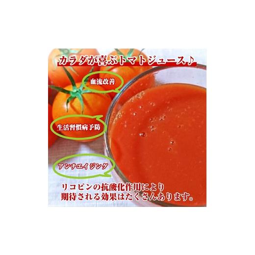 ふるさと納税 野菜類 ジュース 山形県 遊佐町 農家直送 トマトジュース 秋のめぐ実 砂糖不使用 食塩無添加 500ml×6本 野菜ジュース 無塩 瓶 常温保存の画像