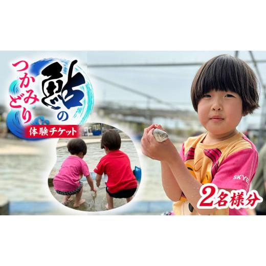 ふるさと納税 体験チケット 岐阜県 瑞穂市 先行予約 鮎のつかみ取りチケット2名分(6尾) 体験チケット | 鮎 あゆ アユ 魚介 魚 川魚 塩焼き 体験 体験型 夏…
