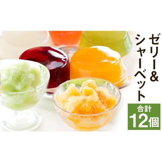 ふるさと納税 菓子 ゼリー 熊本県 菊池市 2026年4月下旬発送開始 フルーツゼリー&ゼリーシャーベット6個セット メロンドーム st-p