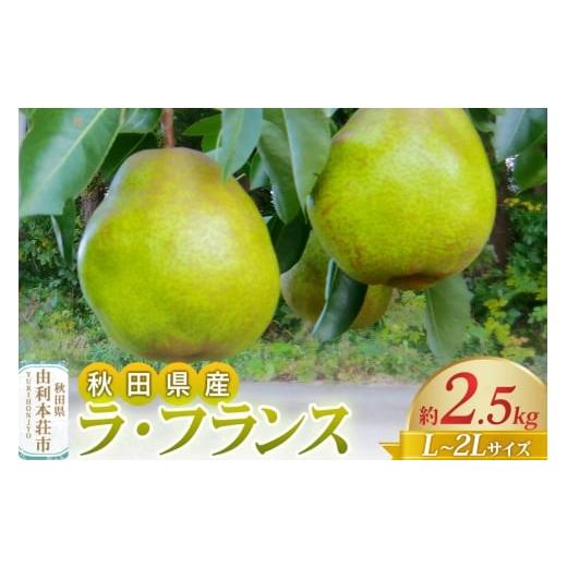 ふるさと納税 梨 秋田県 由利本荘市 [予約受付]茂木農園 秋田県産 ラ・フランス 約2.5kg L〜2Lサイズ