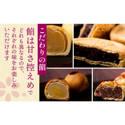 ふるさと納税 和菓子 和菓子セット・詰め合わせ 宮崎県 宮崎市 桐木神楽堂・特製羊羹と焼き菓子詰合せ_M058-001_01の画像