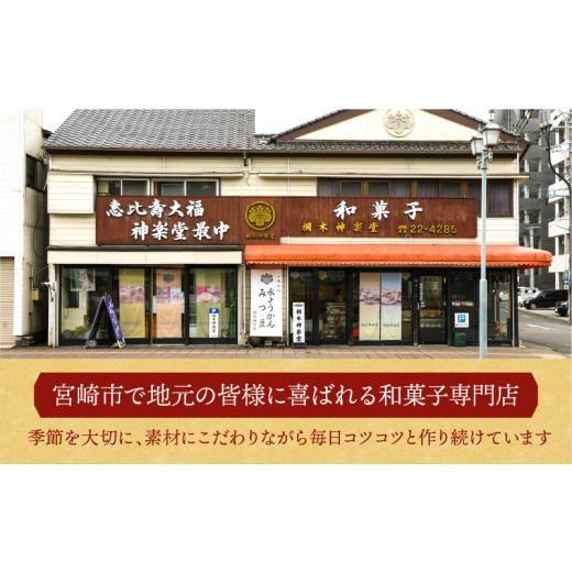 ふるさと納税 和菓子 和菓子セット・詰め合わせ 宮崎県 宮崎市 桐木神楽堂・特製羊羹と焼き菓子詰合せ_M058-001_01の画像