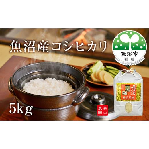 ふるさと納税 米 コシヒカリ 新潟県 魚沼市   令和7年産 森山農園 魚沼産コシヒカリ 5kg お米 コシヒカリ