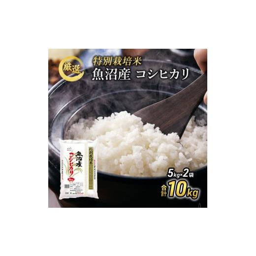 ふるさと納税 米 コシヒカリ 新潟県 魚沼市   令和7年産 特別栽培米 お米アドバイザー厳選 魚沼産 コシヒカリ 精米 10kg(5kg×2袋)米 こしひかり …