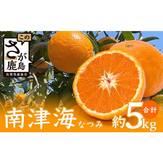 ふるさと納税 みかん・柑橘類 佐賀県 鹿島市 南津海 なつみ 5kg みかん ミカン 柑橘 希少 期間限定 果物 フルーツ 佐賀県 鹿島市 国産 送料無料 2024年5月頃か…