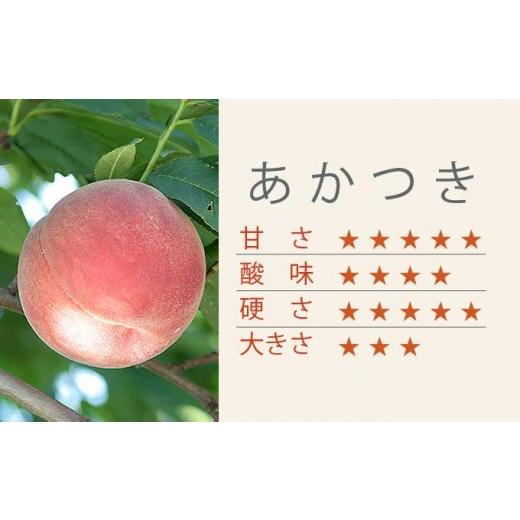 ふるさと納税 もも 長野県 小布施町 あかつき 約3kg 7〜12玉 ［小布施屋］ 桃 もも モモ フルーツ 果物 令和8年産 2026年7月末頃〜8月上旬発送 A-4の画像