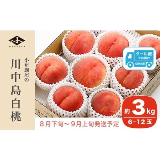 ふるさと納税 もも 長野県 小布施町 川中島白桃 約3kg 6〜12玉 ［小布施屋］ 桃 白桃 もも モモ フルーツ 果物 令和8年産 2026年8月下旬〜9月上旬発送 ［A-6］の画像