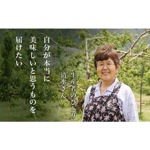 ふるさと納税 もも 長野県 小布施町 川中島白桃 約3kg 6〜12玉 ［小布施屋］ 桃 白桃 もも モモ フルーツ 果物 令和8年産 2026年8月下旬〜9月上旬発送 ［A-6］の画像