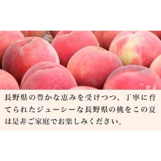 ふるさと納税 もも 長野県 小布施町 川中島白桃 約3kg 6〜12玉 ［小布施屋］ 桃 白桃 もも モモ フルーツ 果物 令和8年産 2026年8月下旬〜9月上旬発送 ［A-6］の画像