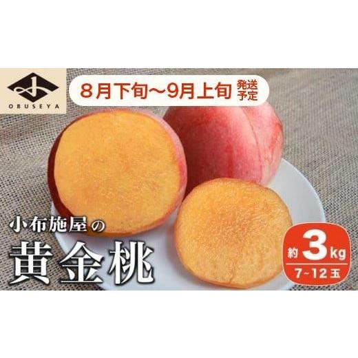 ふるさと納税 もも 長野県 小布施町 黄金桃 約3kg 7〜12玉 ［小布施屋］ 桃 もも モモ フルーツ 果物 令和8年産 2026年8月下旬〜9月上旬発送 ［A-11］の画像