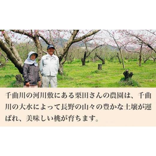 ふるさと納税 もも 長野県 小布施町 黄金桃 約3kg 7〜12玉 ［小布施屋］ 桃 もも モモ フルーツ 果物 令和8年産 2026年8月下旬〜9月上旬発送 ［A-11］の画像