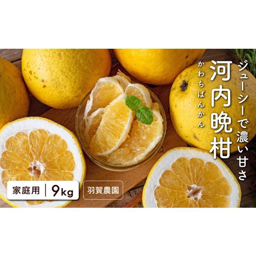 ふるさと納税 みかん・柑橘類 高知県 宿毛市 羽賀農園の河内晩柑9kg(家庭用) 高知県宿毛市小筑紫町田ノ浦産