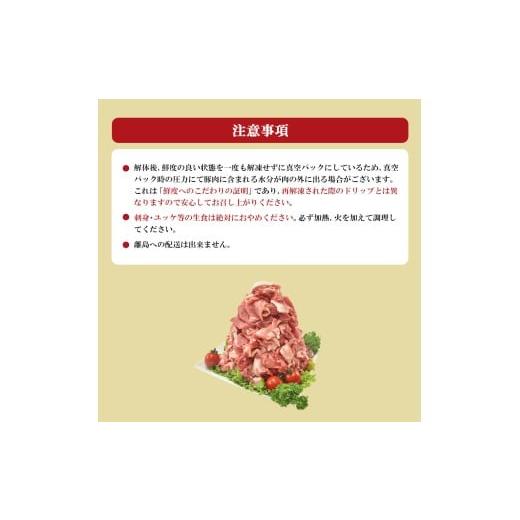 ふるさと納税 豚肉 宮城県 蔵王町 JAPAN X 豚小間切り落とし／計3kg
