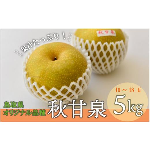 ふるさと納税 梨 鳥取県 倉吉市 秋甘泉 (5kg) 倉吉産 鳥取 梨 なし ナシ ブランド梨 あきかんせん 秋甘泉 果物 フルーツ 和梨 先行予約 数量限定 詰め合わせ…