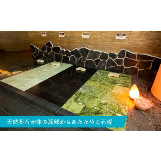 ふるさと納税 入場券・優待券 神奈川県 三浦市 マホロバマインズ三浦 ウォーターパーク利用ペア券　M014-001_3