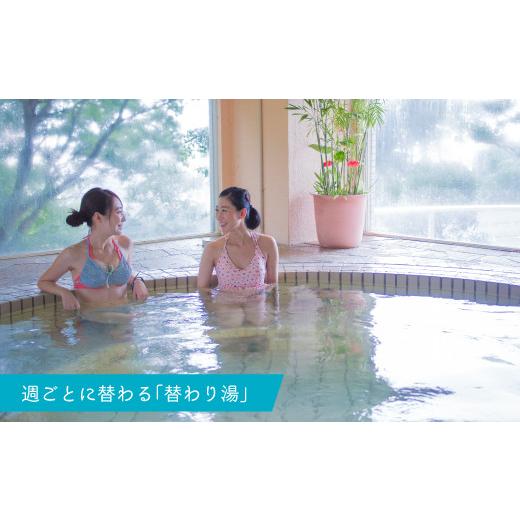 ふるさと納税 入場券・優待券 神奈川県 三浦市 マホロバマインズ三浦 ウォーターパーク利用ペア券　M014-001_6