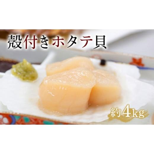 ふるさと納税 魚貝類 ホタテ 北海道 遠別町 事前予約:R8年5月下旬より順次発送 遠別産殻付きホタテ貝(約3〜4kg)