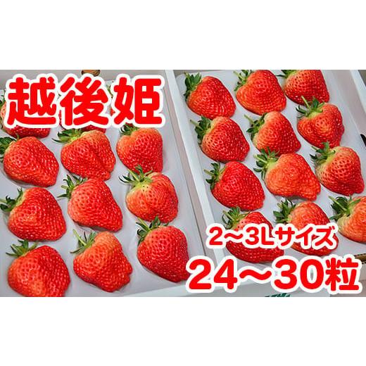 ふるさと納税 いちご 新潟県 聖籠町 聖籠産いちご(越後姫)2〜3Lサイズ 2パック 2026年2月上旬〜順次発送予定