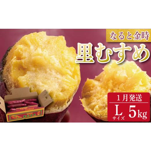 ふるさと納税 野菜類 サツマイモ 徳島県 - なると金時 里むすめ 5kg Lサイズ 1月発送 《 徳島と言えば なると金時 》 さつまいも 鳴門金時 いも 芋 焼き芋 干…の画像