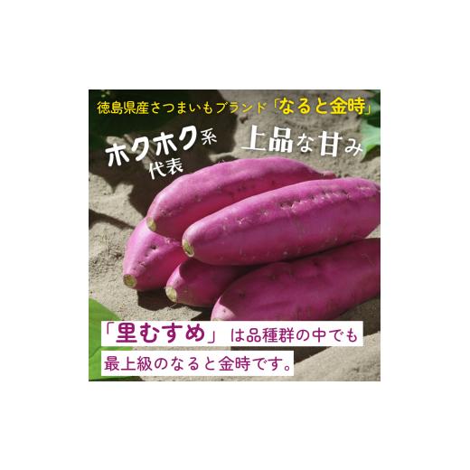 ふるさと納税 野菜類 サツマイモ 徳島県 - なると金時 里むすめ 5kg Lサイズ 1月発送 《 徳島と言えば なると金時 》 さつまいも 鳴門金時 いも 芋 焼き芋 干…の画像