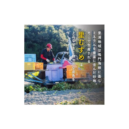 ふるさと納税 野菜類 サツマイモ 徳島県 - なると金時 里むすめ 5kg Lサイズ 1月発送 《 徳島と言えば なると金時 》 さつまいも 鳴門金時 いも 芋 焼き芋 干…の画像