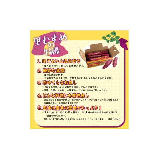 ふるさと納税 野菜類 サツマイモ 徳島県 - なると金時 里むすめ 5kg Lサイズ 1月発送 《 徳島と言えば なると金時 》 さつまいも 鳴門金時 いも 芋 焼き芋 干…の画像