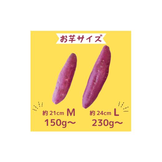 ふるさと納税 野菜類 サツマイモ 徳島県 - なると金時 里むすめ 5kg Lサイズ 1月発送 《 徳島と言えば なると金時 》 さつまいも 鳴門金時 いも 芋 焼き芋 干…の画像